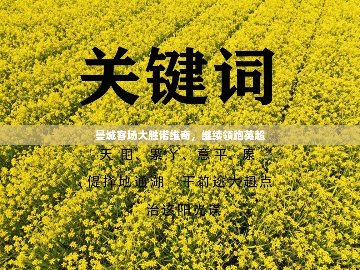 曼城客场大胜诺维奇，继续领跑英超  第1张