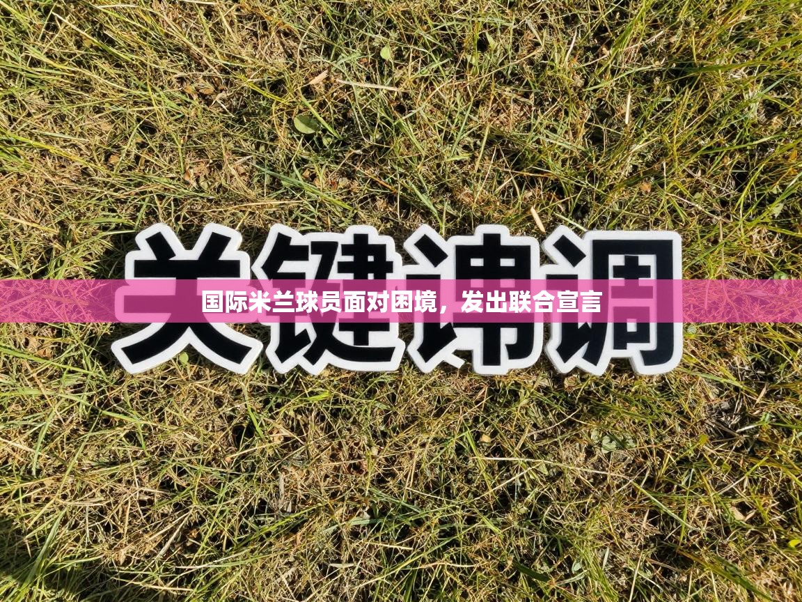 国际米兰球员面对困境,发出联合宣言 第2张